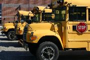  buses parked in a row